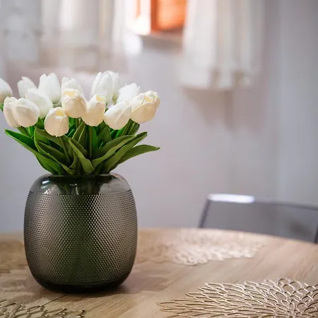 Apartmán Cafio's House *