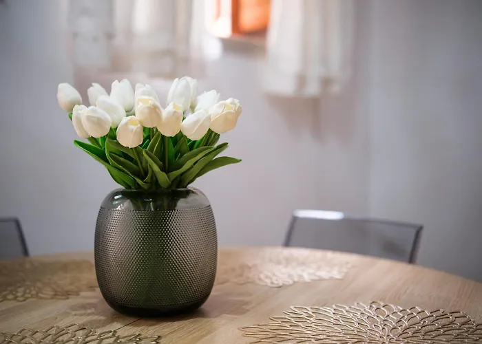 Apartmán Cafio's House *