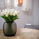 Cafio's House 아파트 리파리
